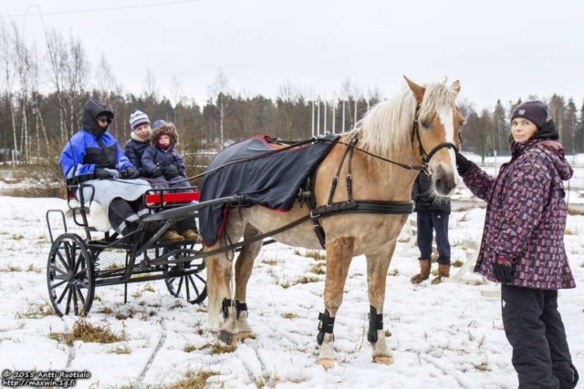 Hevosajelulla!