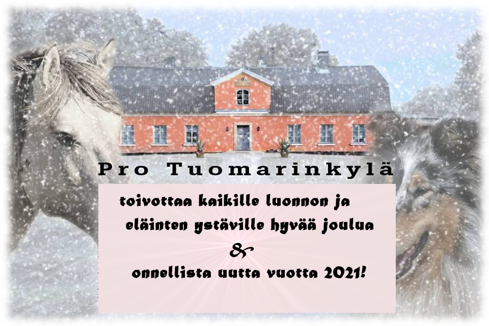 Pro Tuomarinkylä toivottaa kaikille luonnon ja eläinten ystäville Hyvää Joulua ja Onnellista Uutta Vuotta 2021!